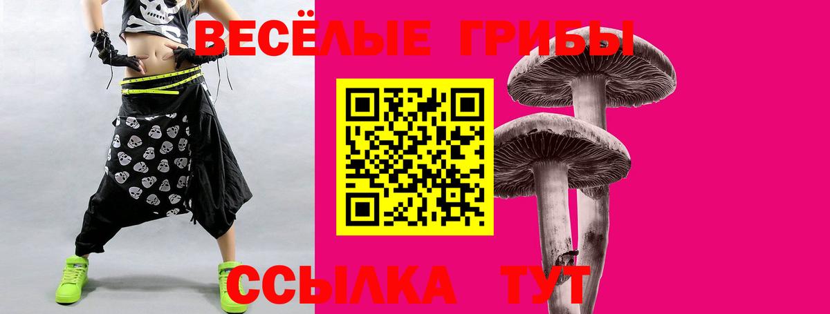 Галлюциногенные грибы Psilocybine cubensis  Вход с VPN  Ливны 